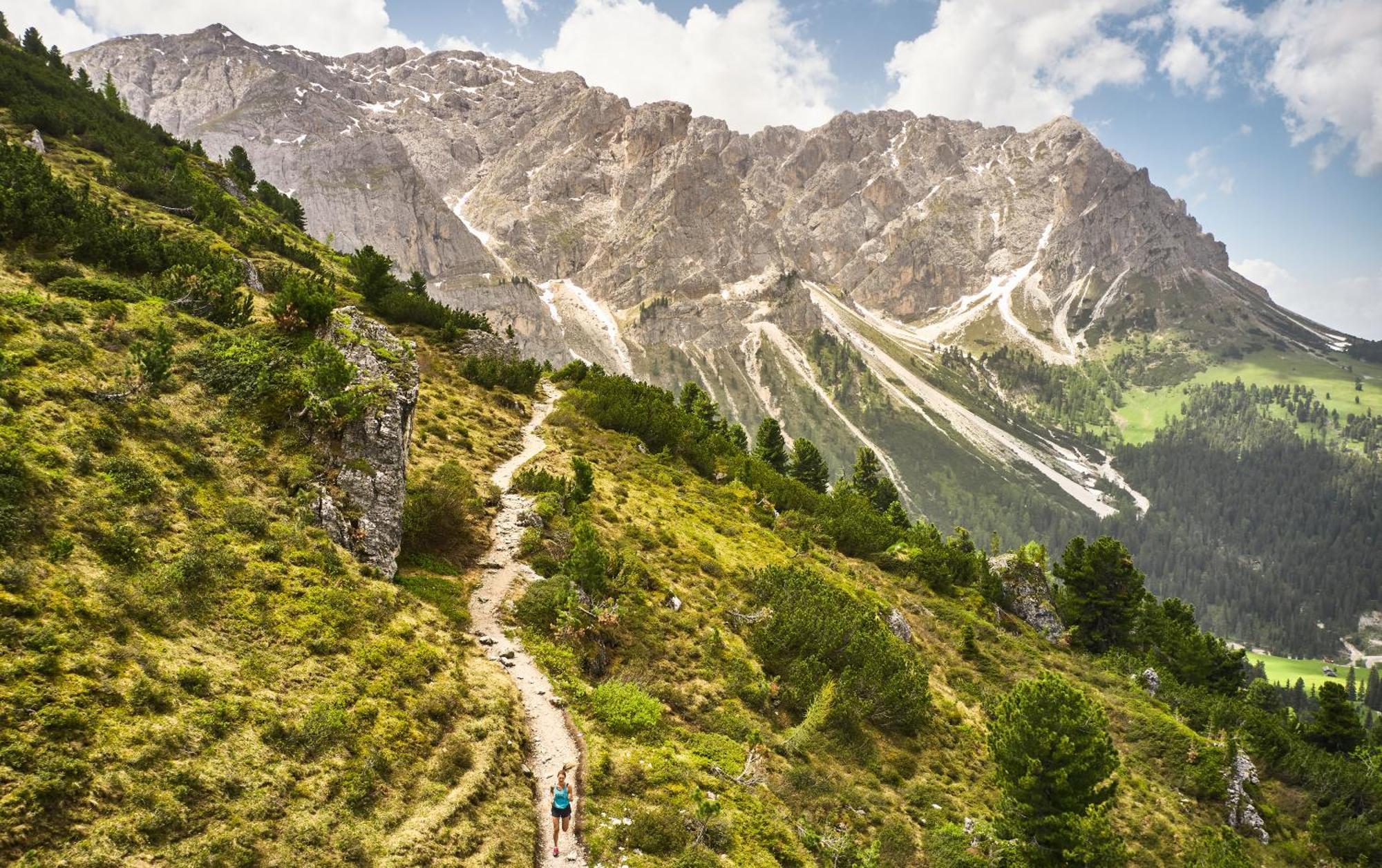 Falkensteiner Hotel Kronplatz - The Leading Hotels Of The World (Adults Only) 리스코네 외부 사진
